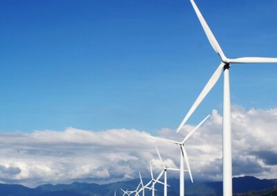 Vibration Monitoring in the Wind Power Sector